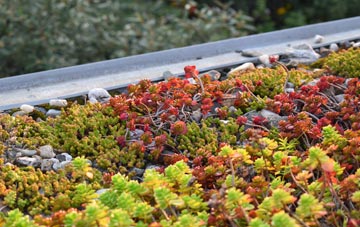 the cost of Diptonmill green roof installation