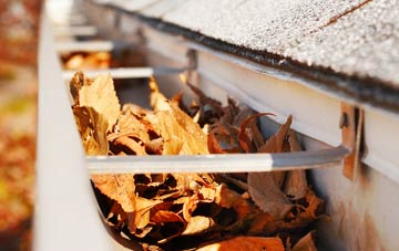 Diptonmill gutter cleaning companies