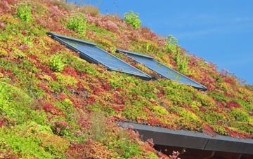Diptonmill living roof systems