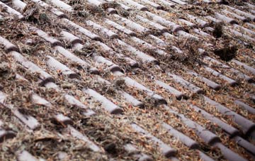 Diptonmill roof cleaning companies