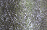 Diptonmill fibreglass roof work